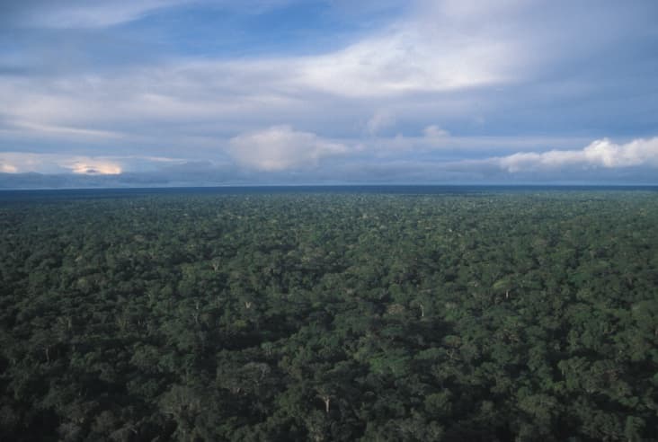 Image for Conservation Impact in Peru