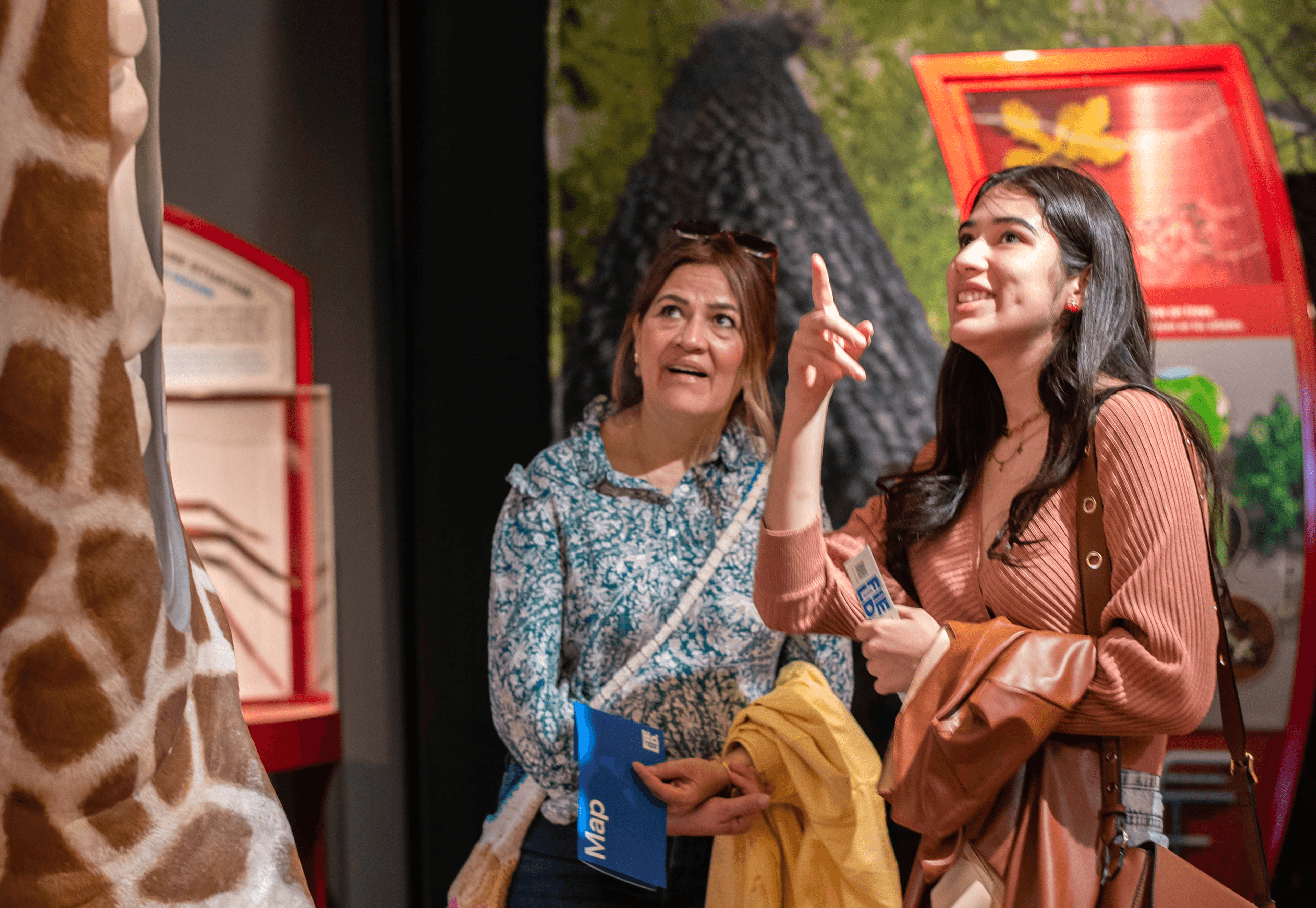 two visitors in a museum galllery looking up at a model of a giraffe