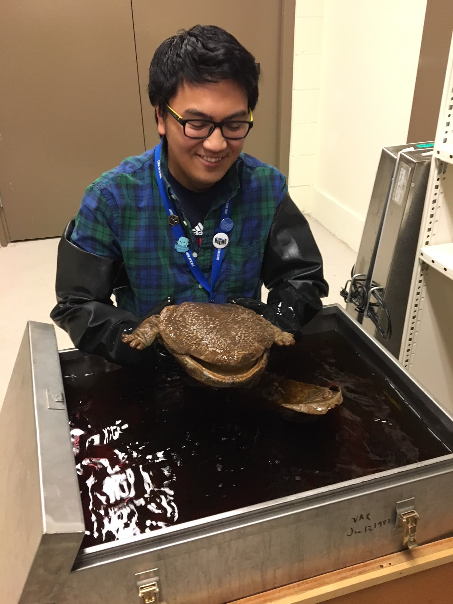 a museum staff member wearing long black rubber gloves holds a specimen from a wet storage tank