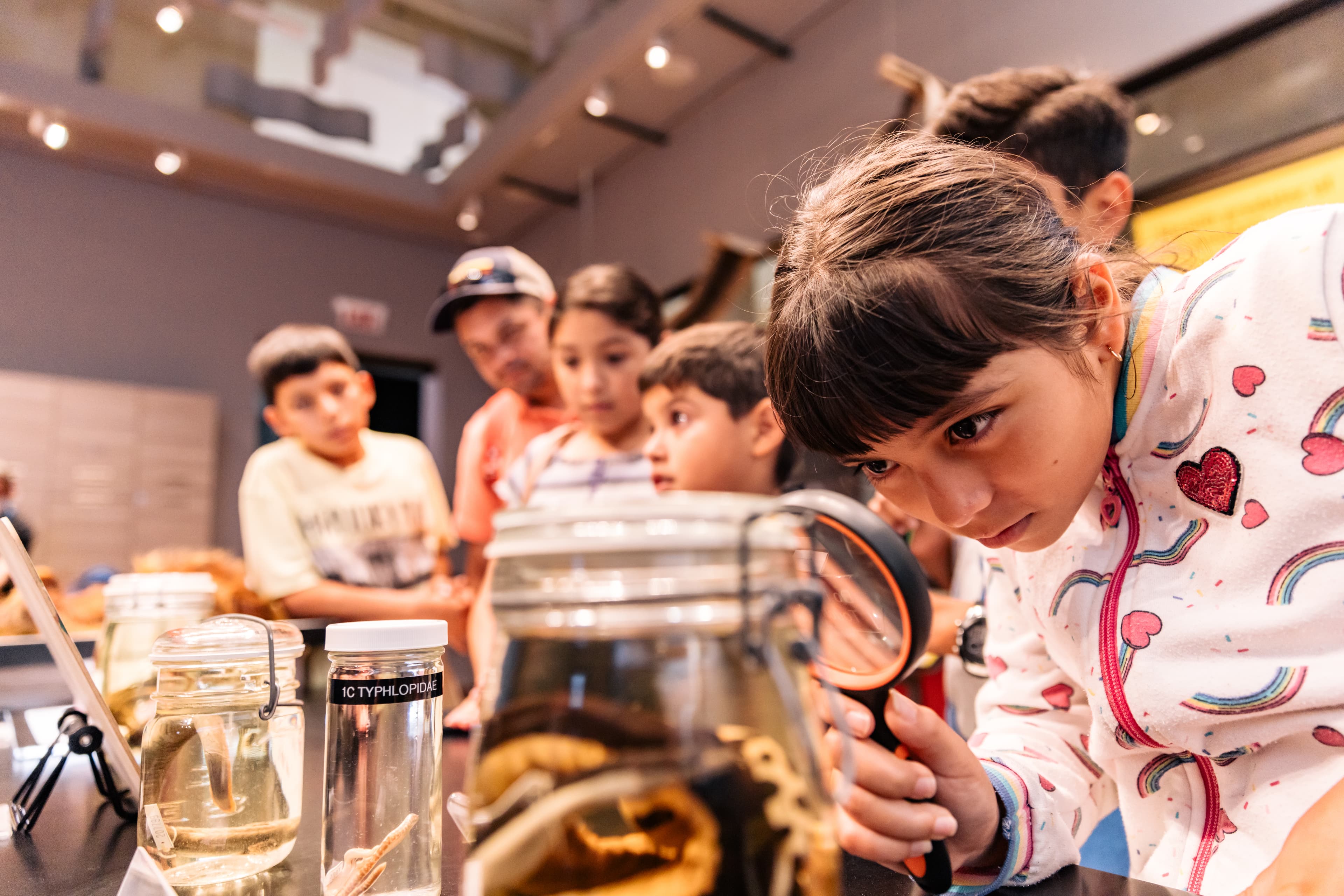 A child looks through a magnifying glass at museum specimens in jars. Other people can be seen in the backgroung, slightly blurred