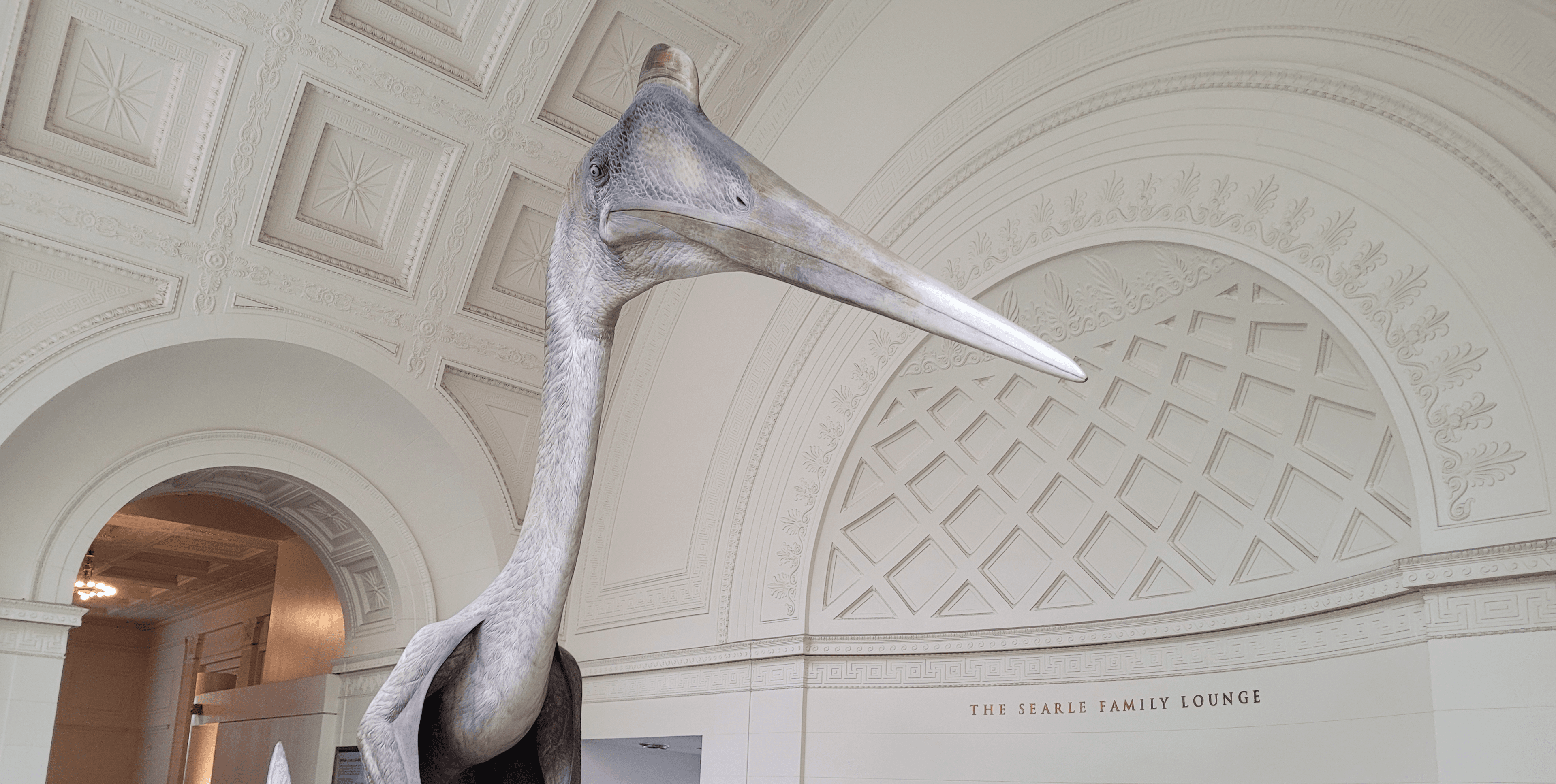 A life-size model of a quetzalcoatlus sits in a space with domed white ceilings.