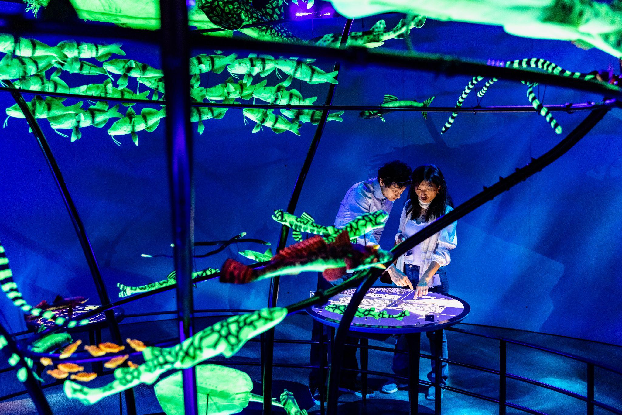 Two adult visitors interact with a museum display screen. Models of different fish are mounted around them in a spiral.