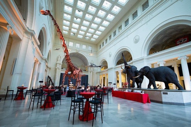 As far as event spaces, Stanley Field Hall is about as good as it gets!
•
•
•
fieldmuseumspecialevents fieldmuseum canonusa magnetmod sigmaphoto #fieldmuseum #fieldmuseumchicago #chicagolandmarks #teamcanon #magmodcommunity