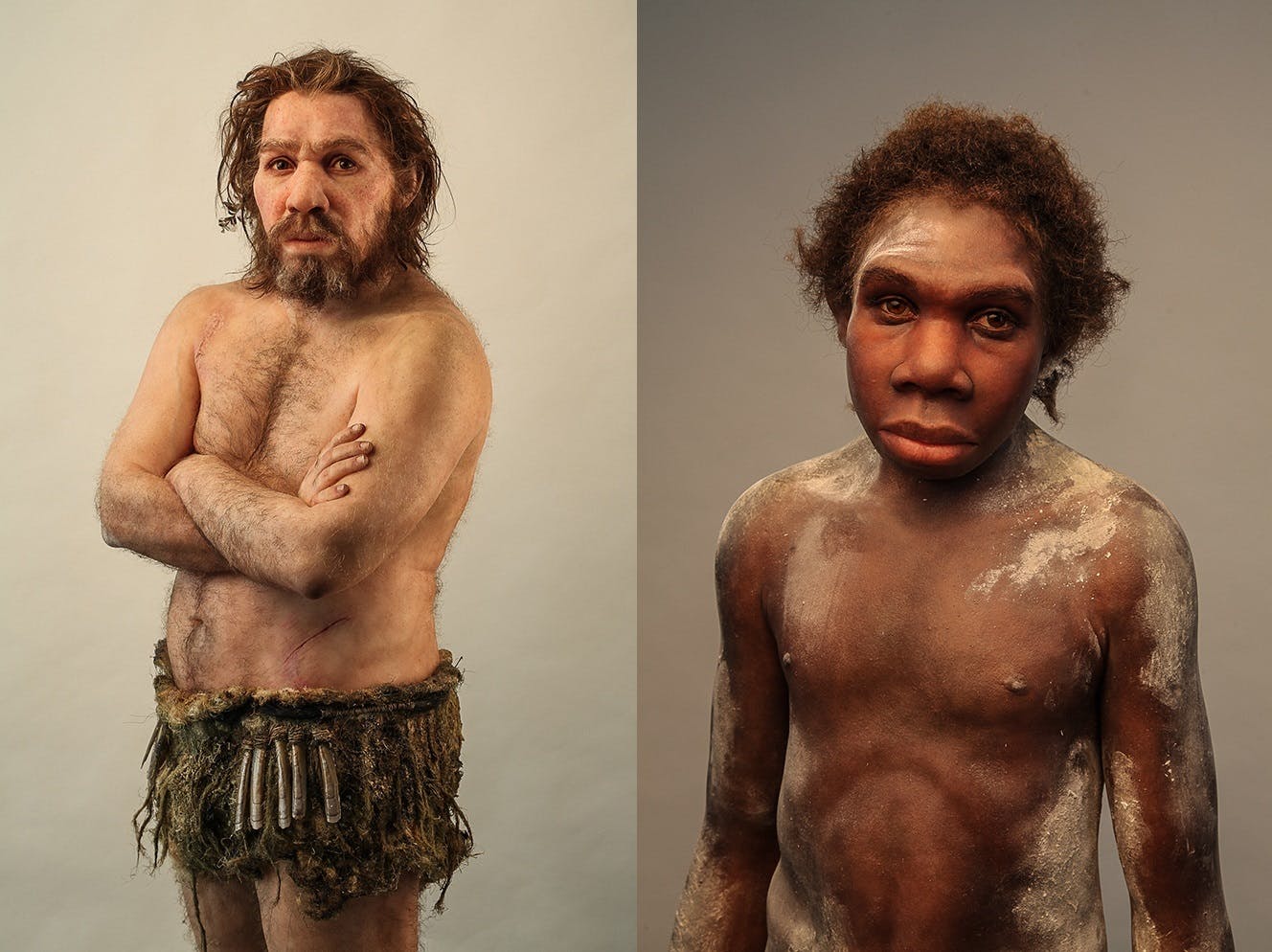 Two sculptures, created by French paleoartist Elisabeth Daynès, give a breathtakingly lifelike look at human relatives—Homo ergaster and Homo neanderthalensis.
